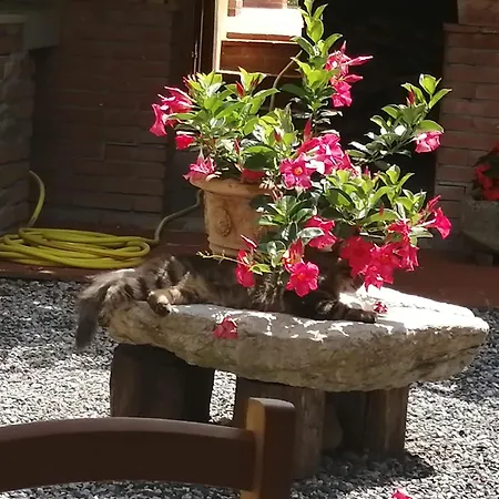La Cascina Di Anna بيفيرينو