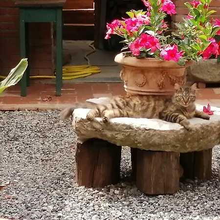 La Cascina Di Anna 4*