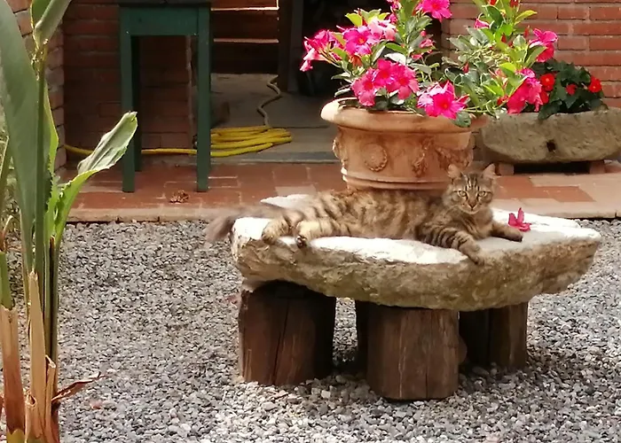 La Cascina Di Anna 4*