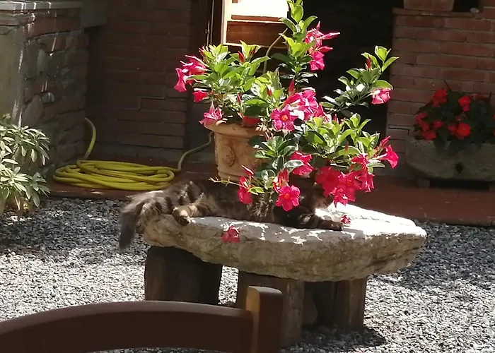 La Cascina Di Anna Beverino